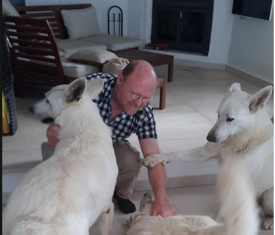 dogsitter playing with three white dogs